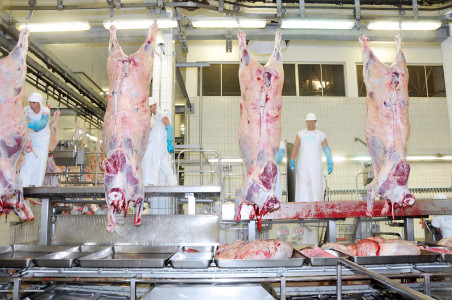 Com restrição de oferta de animais prontos, frigoríficos de MS reduziram volume de abates: FOTO/DIVULGAÇÃO