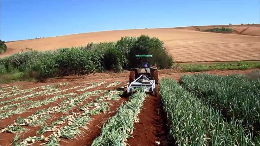 agripecuaria-emprego