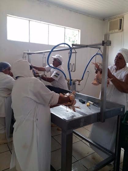 frango caipira navirai 2