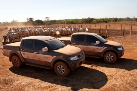 A Equipe se deslocará até as propriedades da região em busca de informações, por meio de pesquisa qualitativa e quantitativa, sobre estratégias nutricionais, uso de insumos tecnológicos, índices de fertilidade