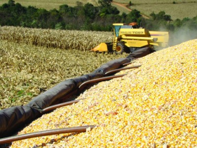 Prognóstico do Rally da Safra aponta para uma redução na produtividade do milho safrinha em virtude de adversidades climáticas