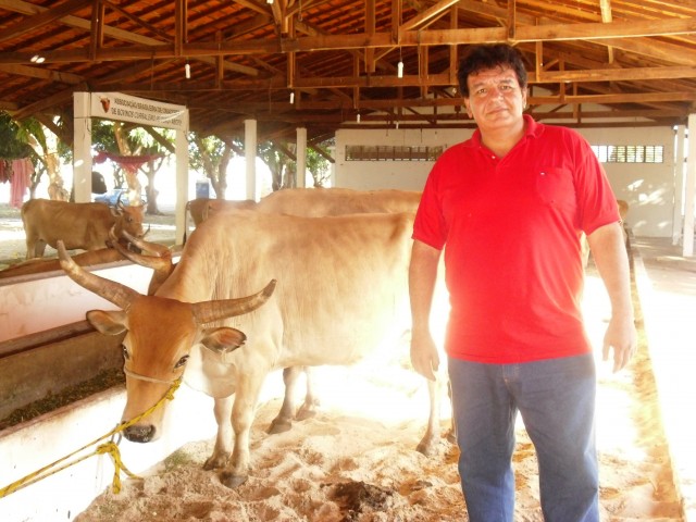 gado-pantaneiro-Marcus-Ruiz-640x480