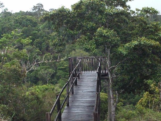 Iniciativa tem como objetivo melhorar a infraestrutura das unidades de conservação administradas pelo ICMBio e deve impulsionar o turismo de natureza. (Foto: Divulgação).